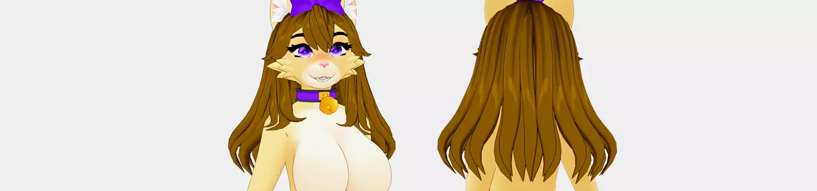 Banner for the page