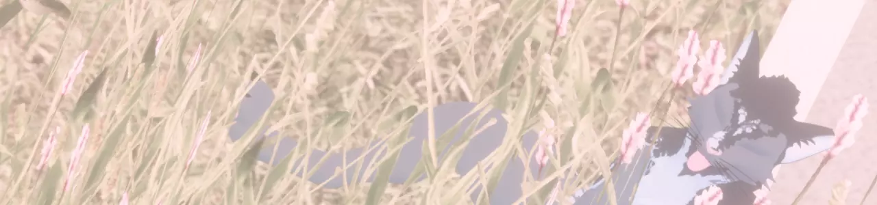 Banner for the page