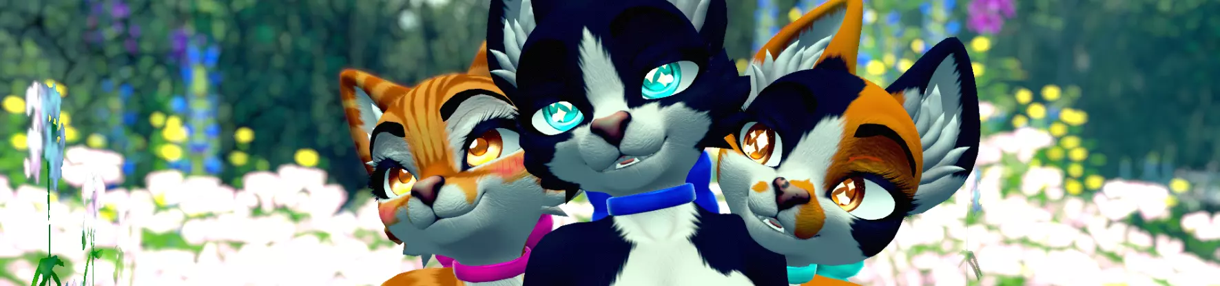 Banner for the page