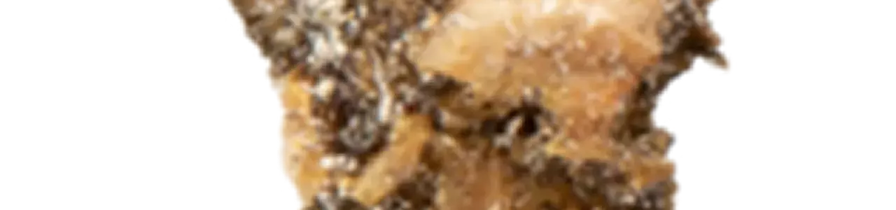 Banner for the page