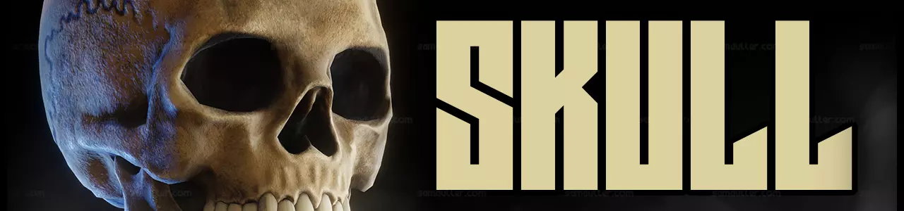 Banner for the page