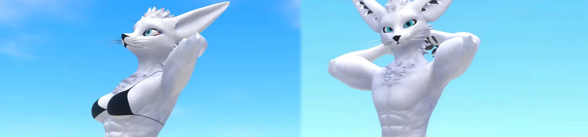 Banner for the page
