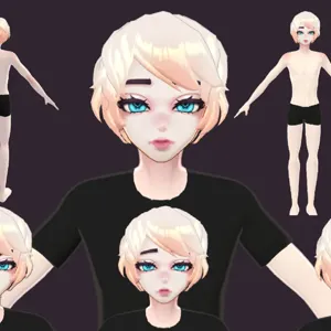 The VRCArena Project