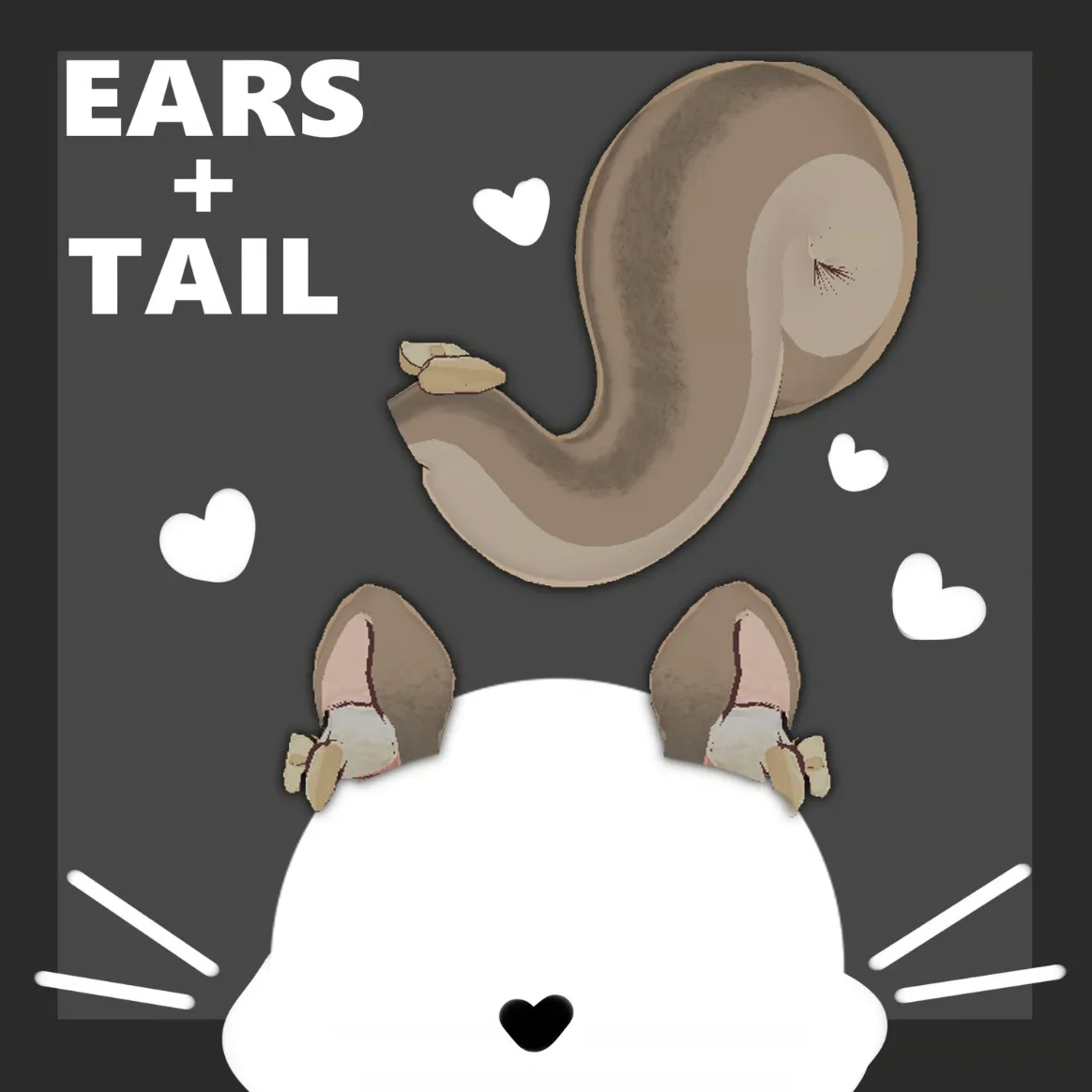 Attachment for asset