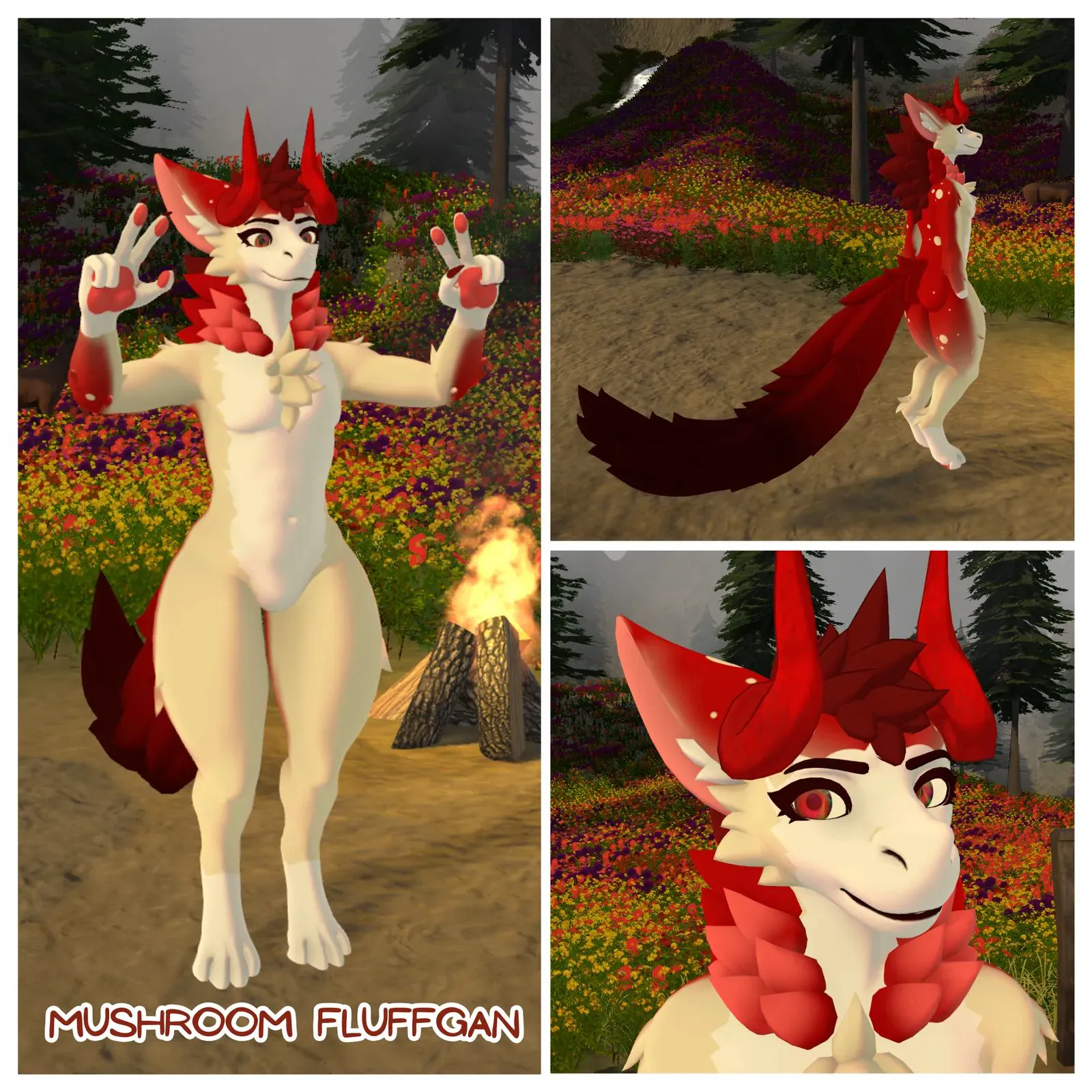 Attachment for asset