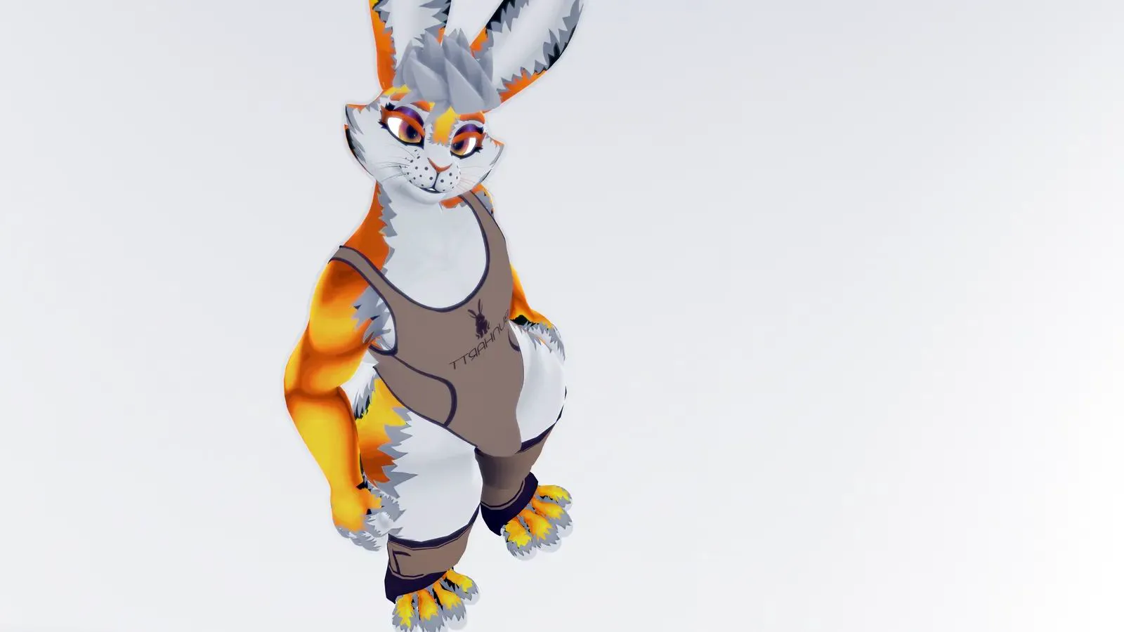 Attachment for asset