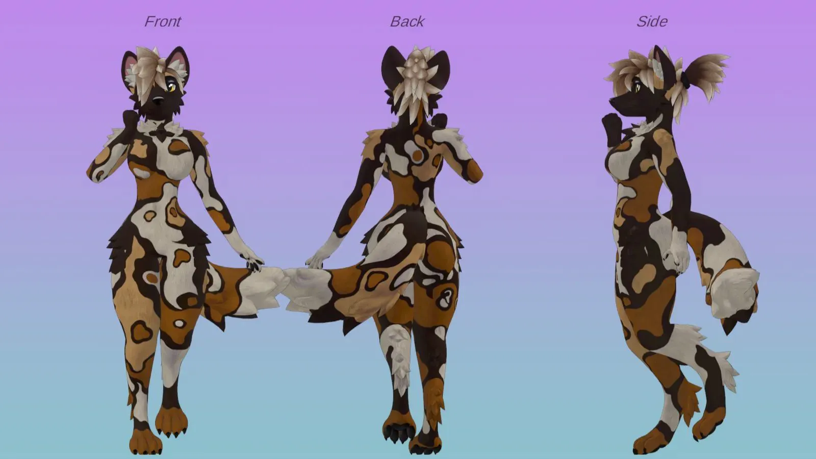 Attachment for asset