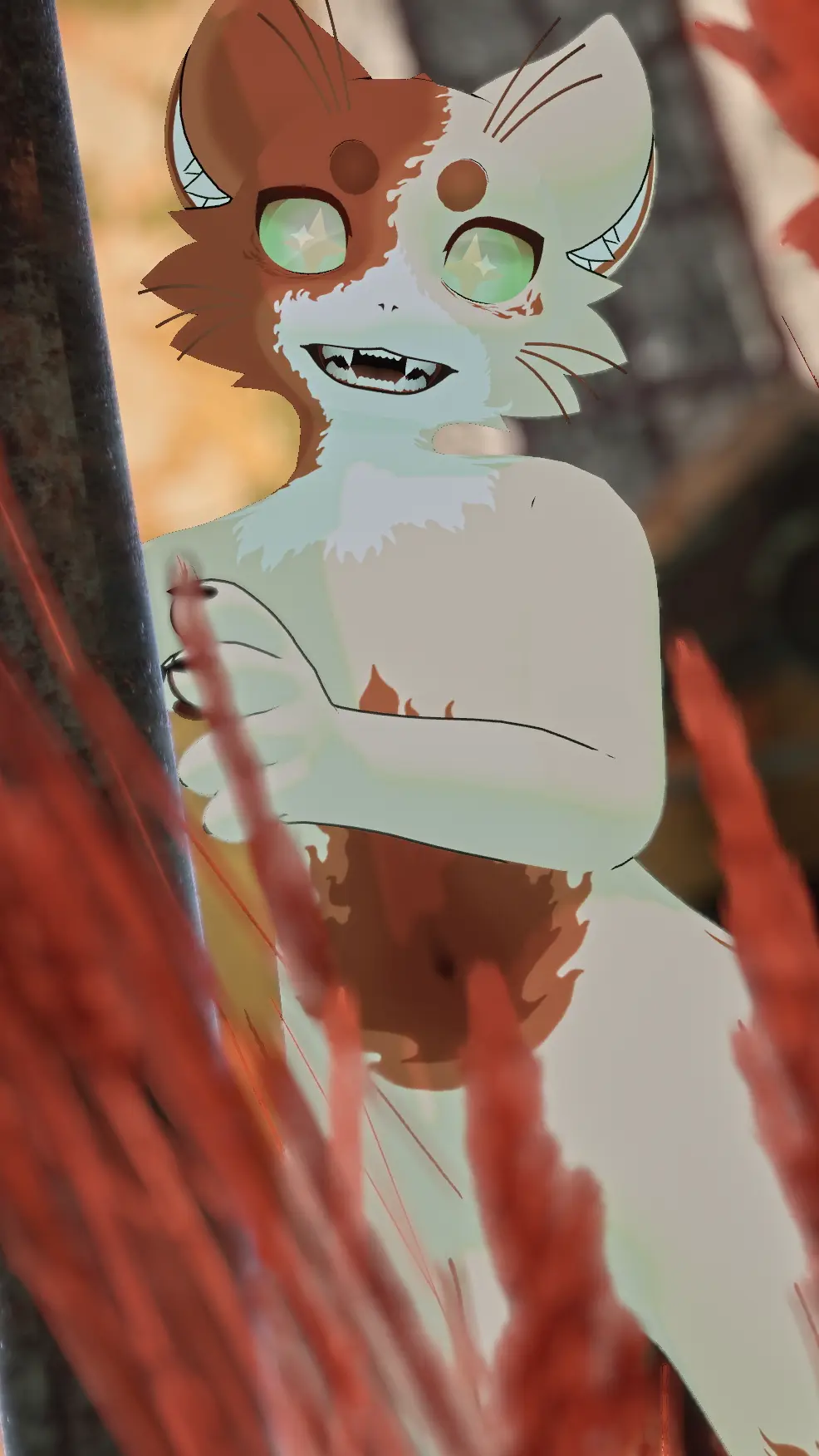 Attachment for asset