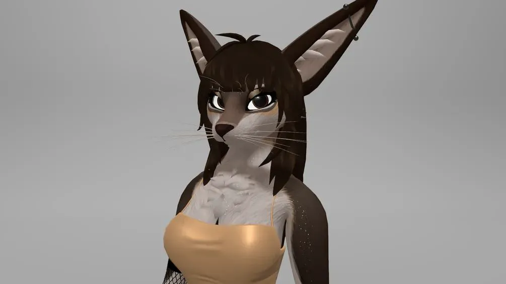 Attachment for asset