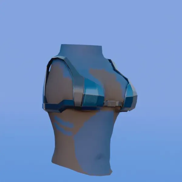 Attachment for asset