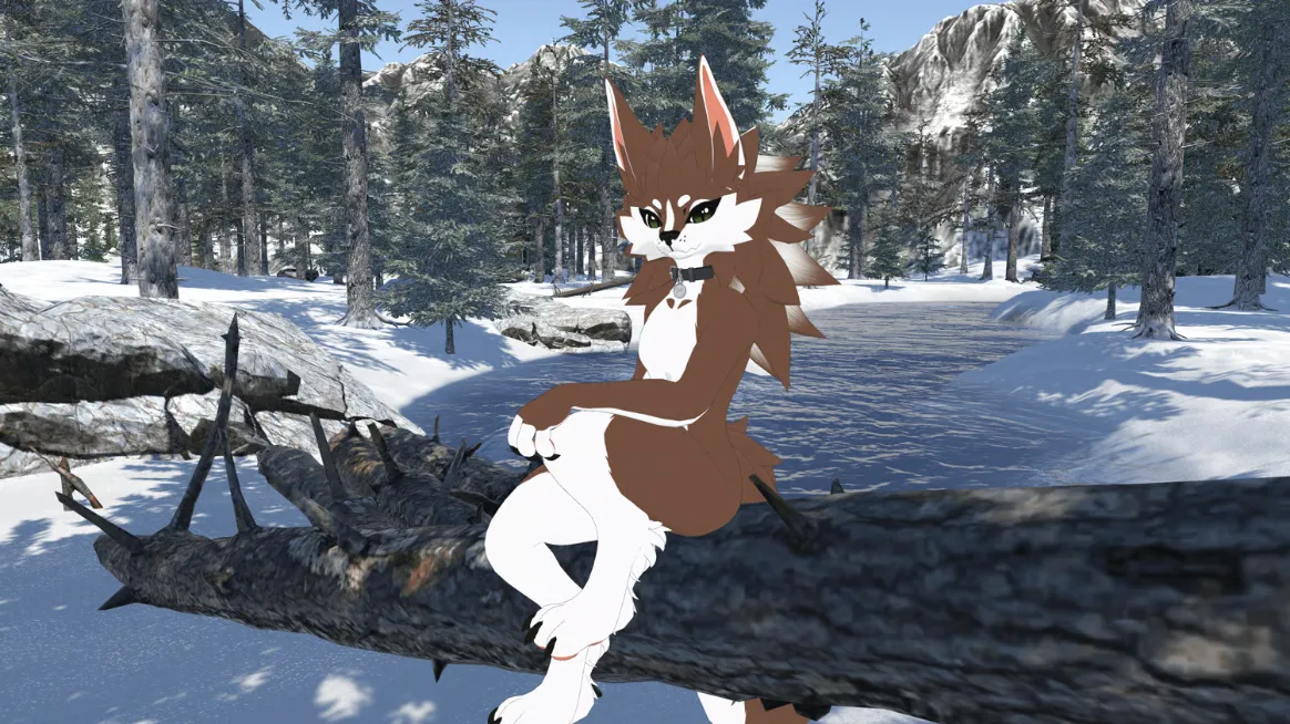 Attachment for asset