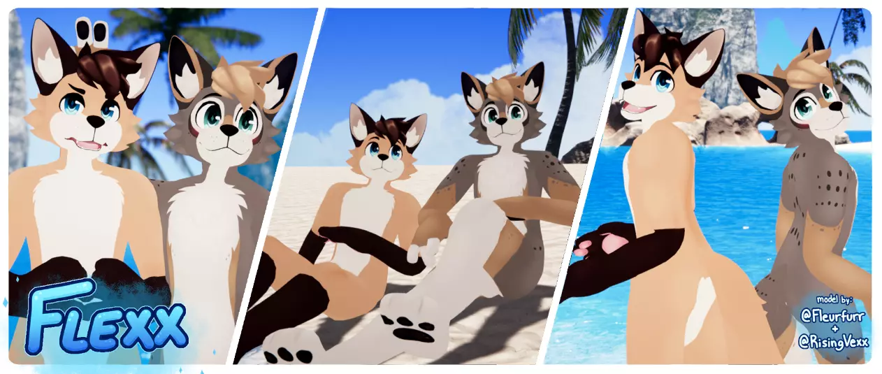 Attachment for asset