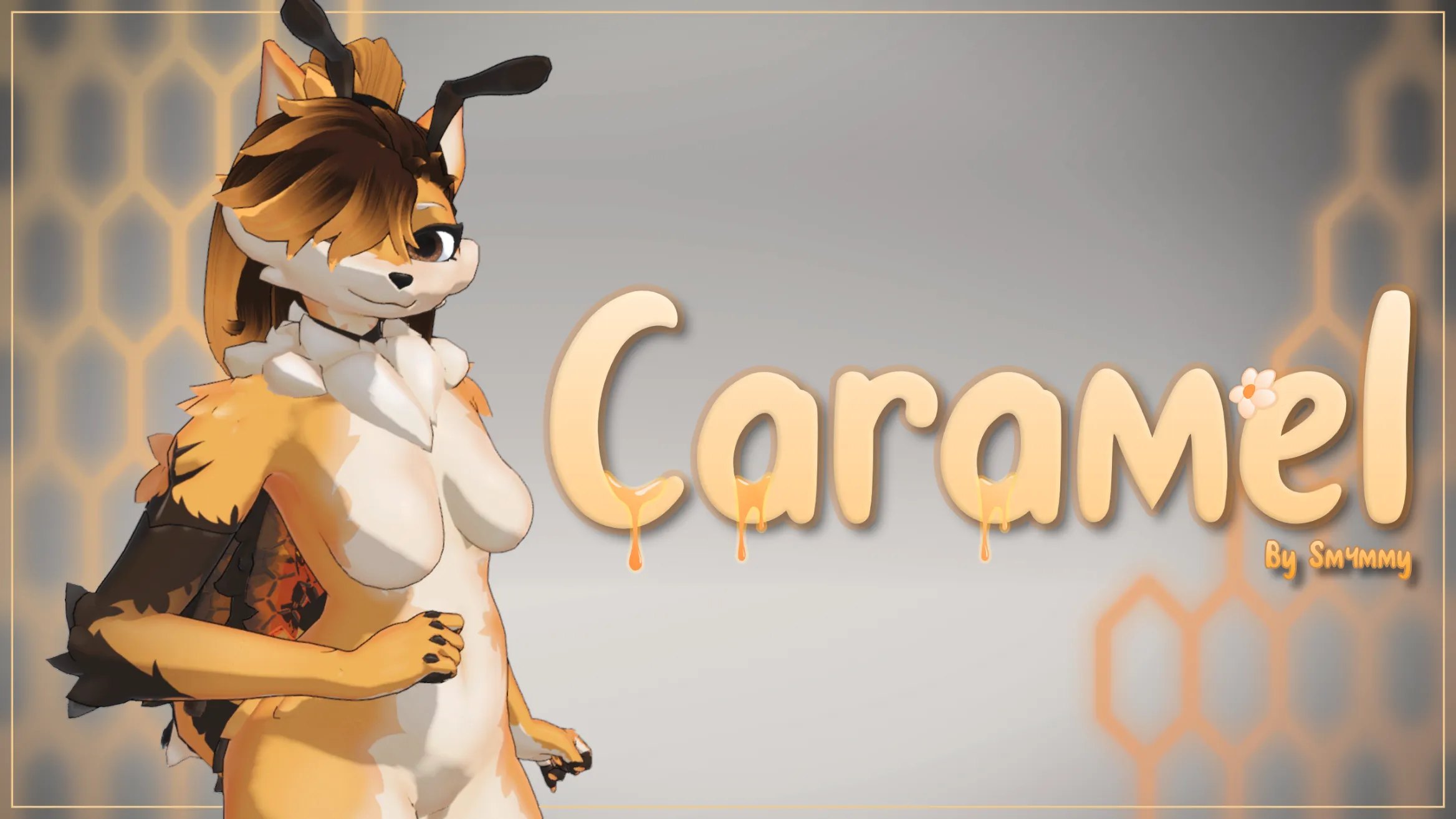 Attachment for asset