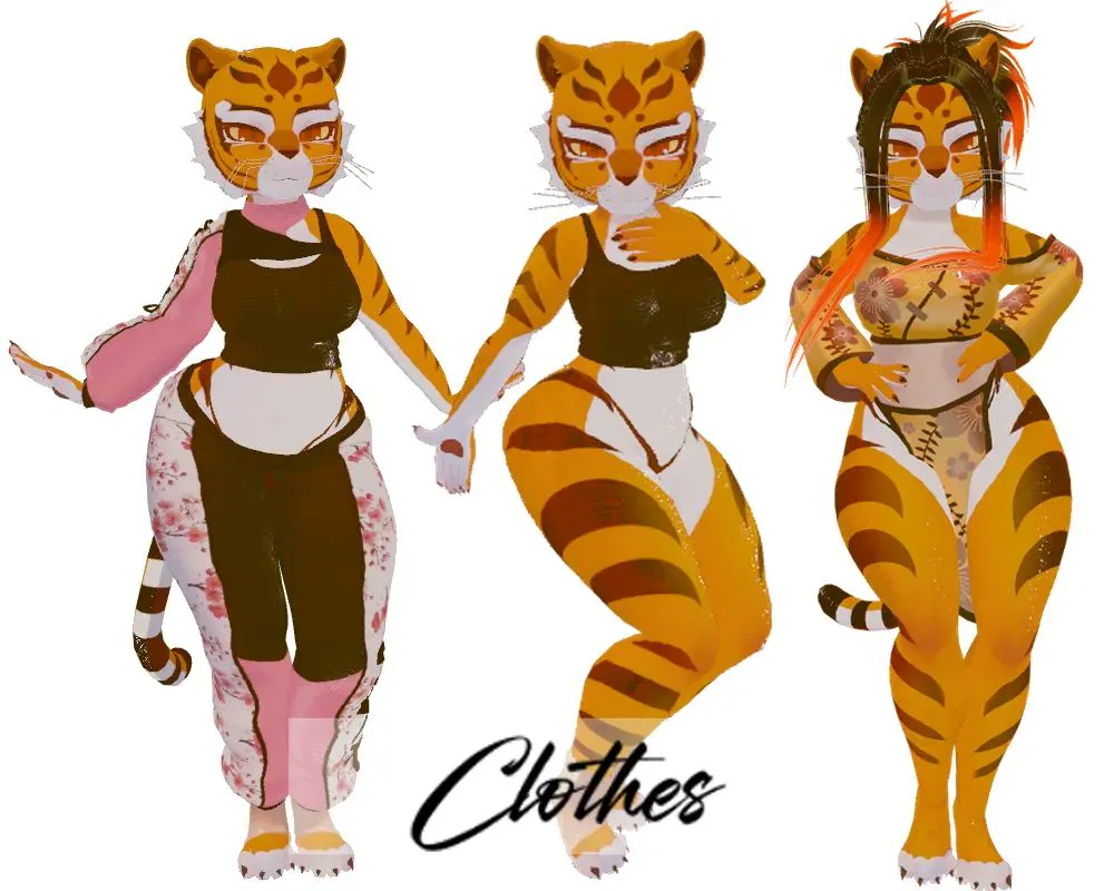 Attachment for asset