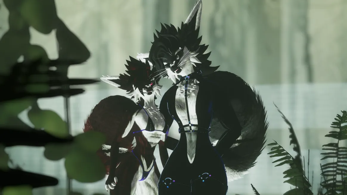 Attachment for asset