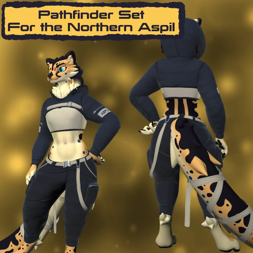 Attachment for asset