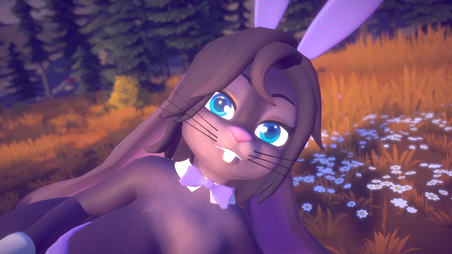 Attachment for asset