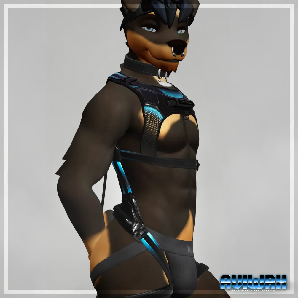 Attachment for asset