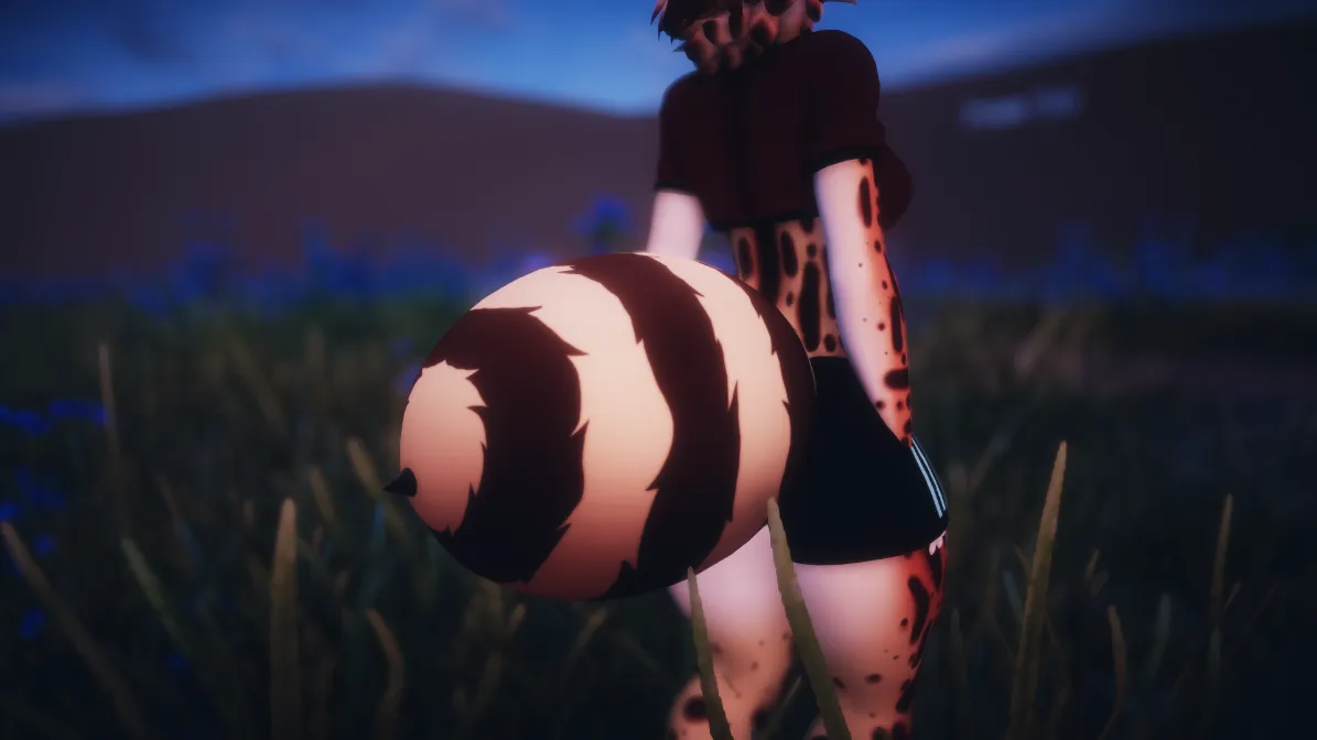 Attachment for asset