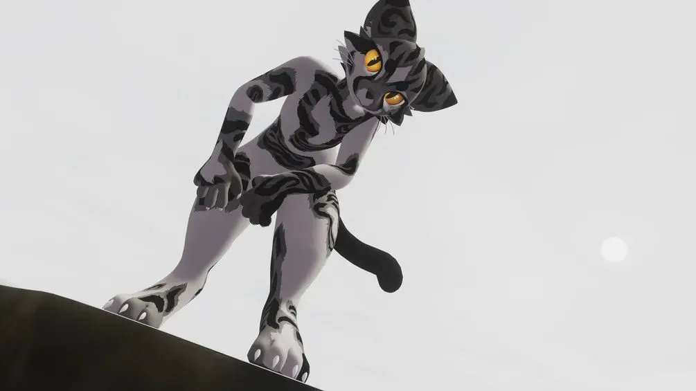 Attachment for asset