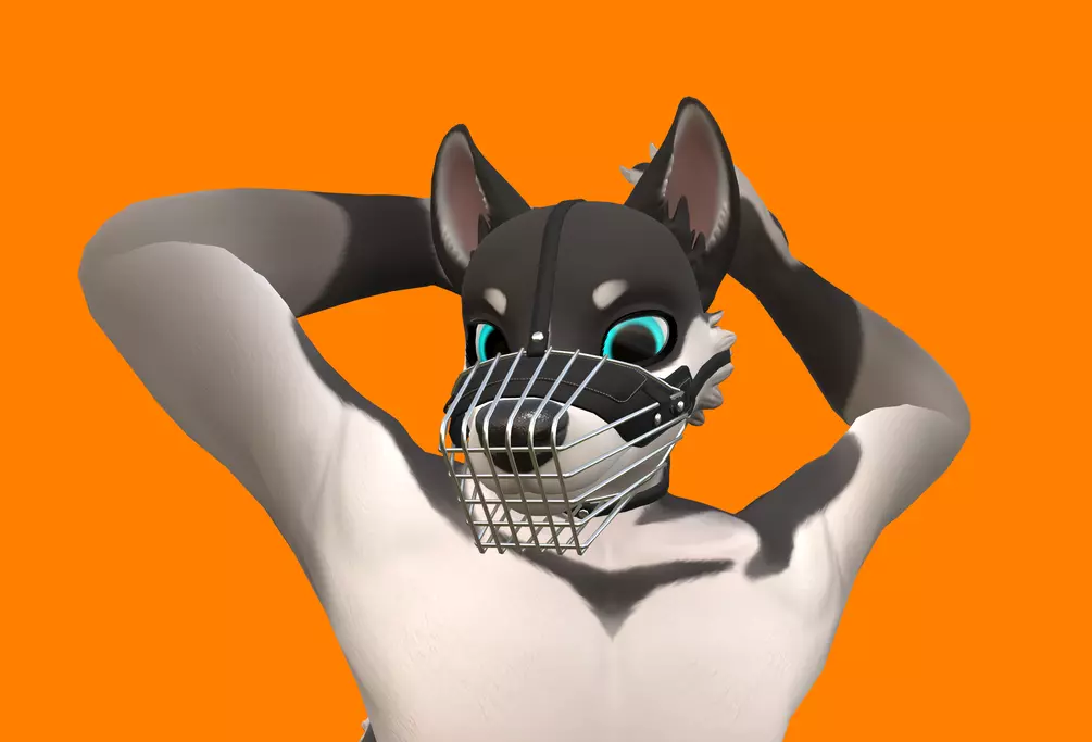 Wire Muzzle for [Zawoo] Chaos Canine - 3D Model for VRChat | By Peanut ...