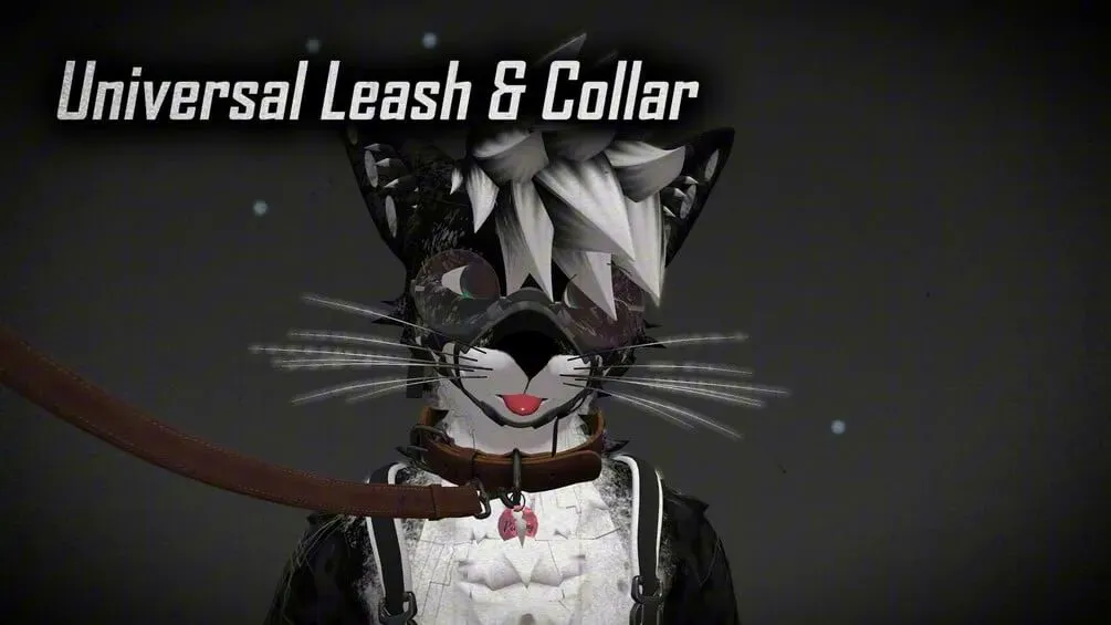 Attachment for asset