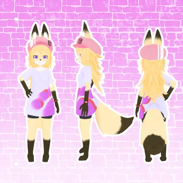 Attachment for asset