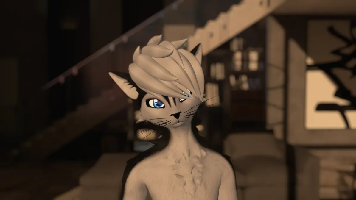 Attachment for asset