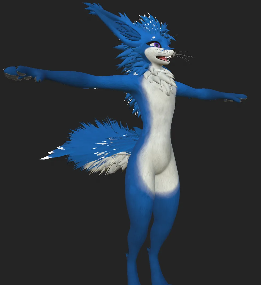 Attachment for asset