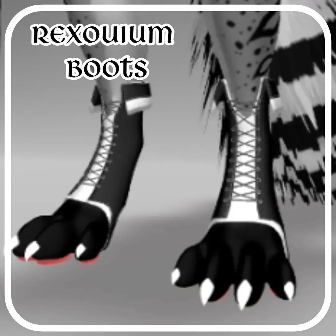 Attachment for asset