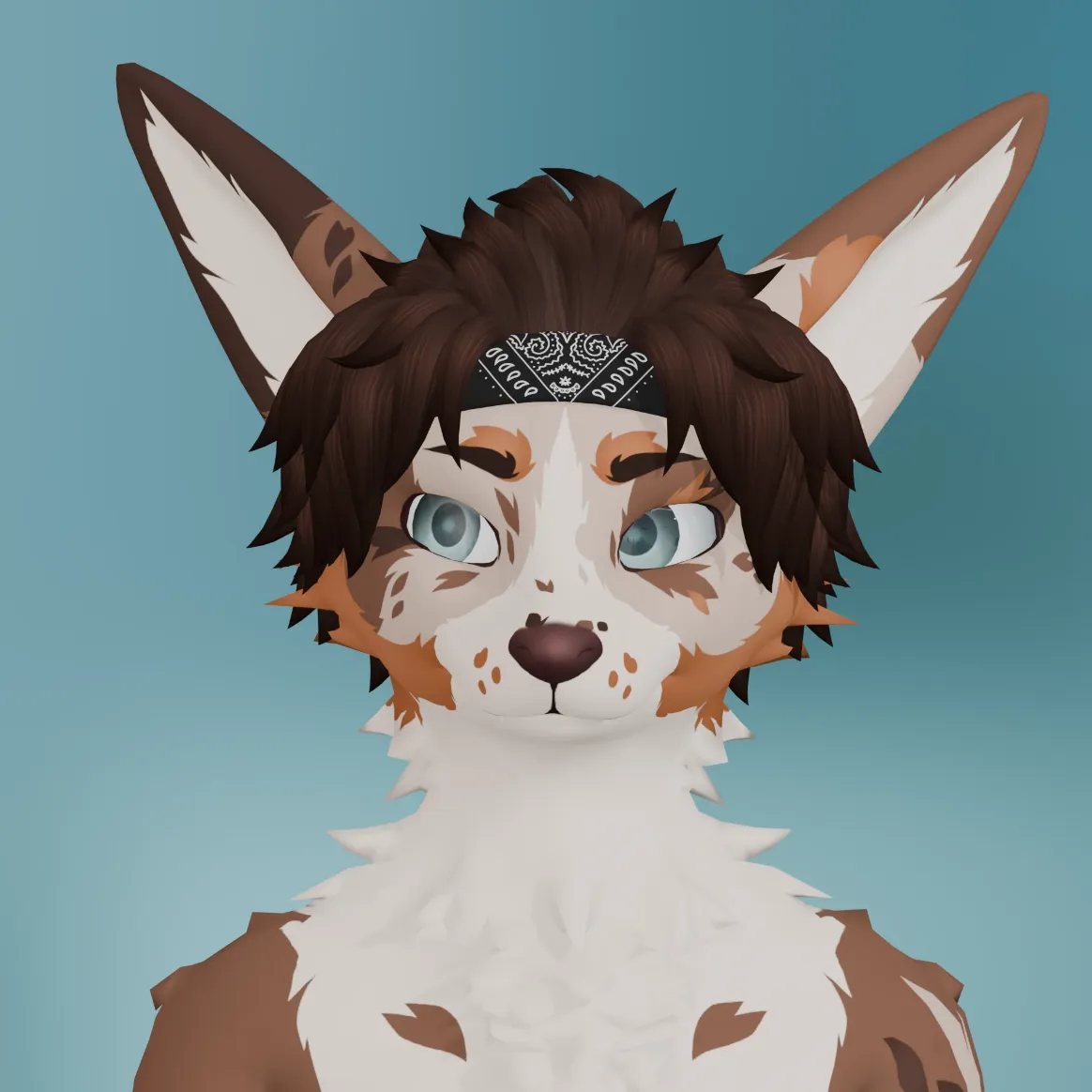 Attachment for asset