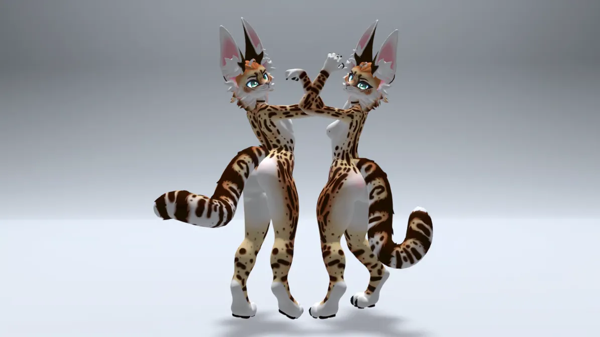 Attachment for asset