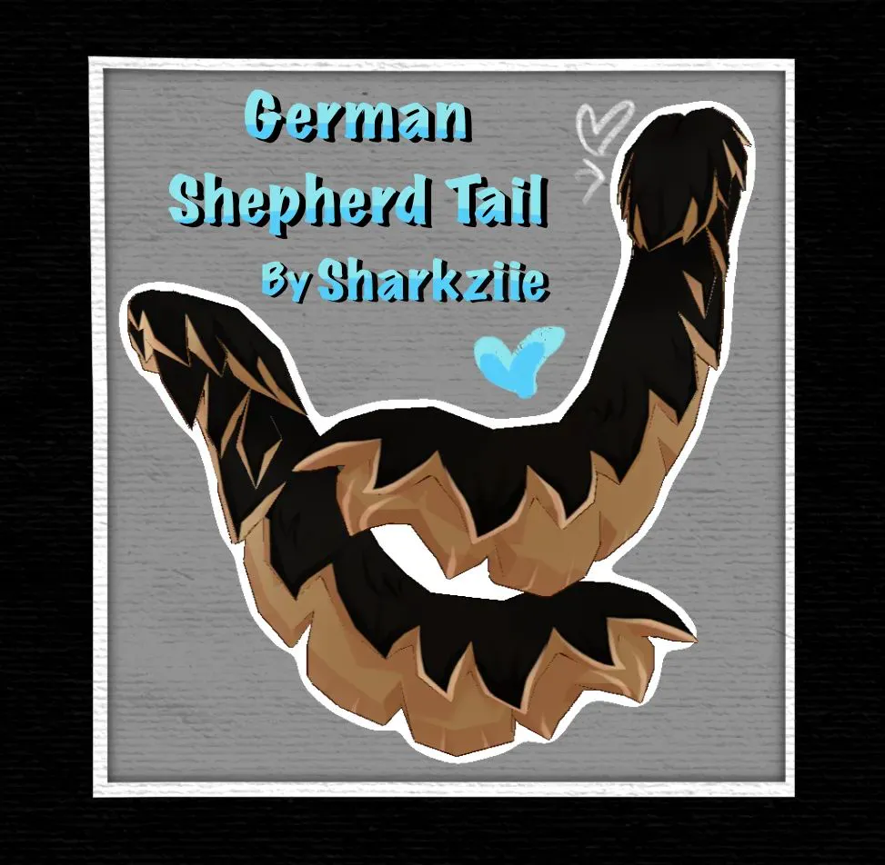 Attachment for asset