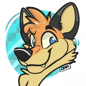 Avatar for RayFoxyote