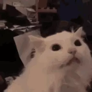Avatar for Mega Normal Cat