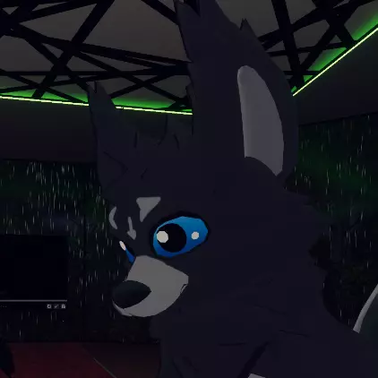 Avatar for a user