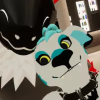 Avatar for a user