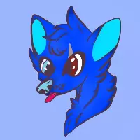 Avatar for a user