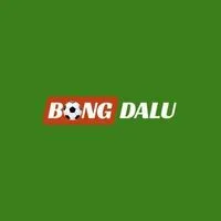 Avatar for bongdaluguruu
