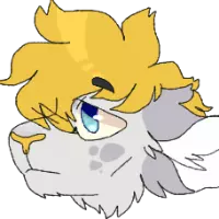 Avatar for a user