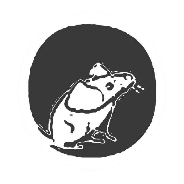 Avatar for amygination