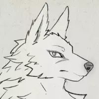 Avatar for Reval