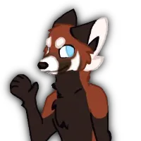 Avatar for a user