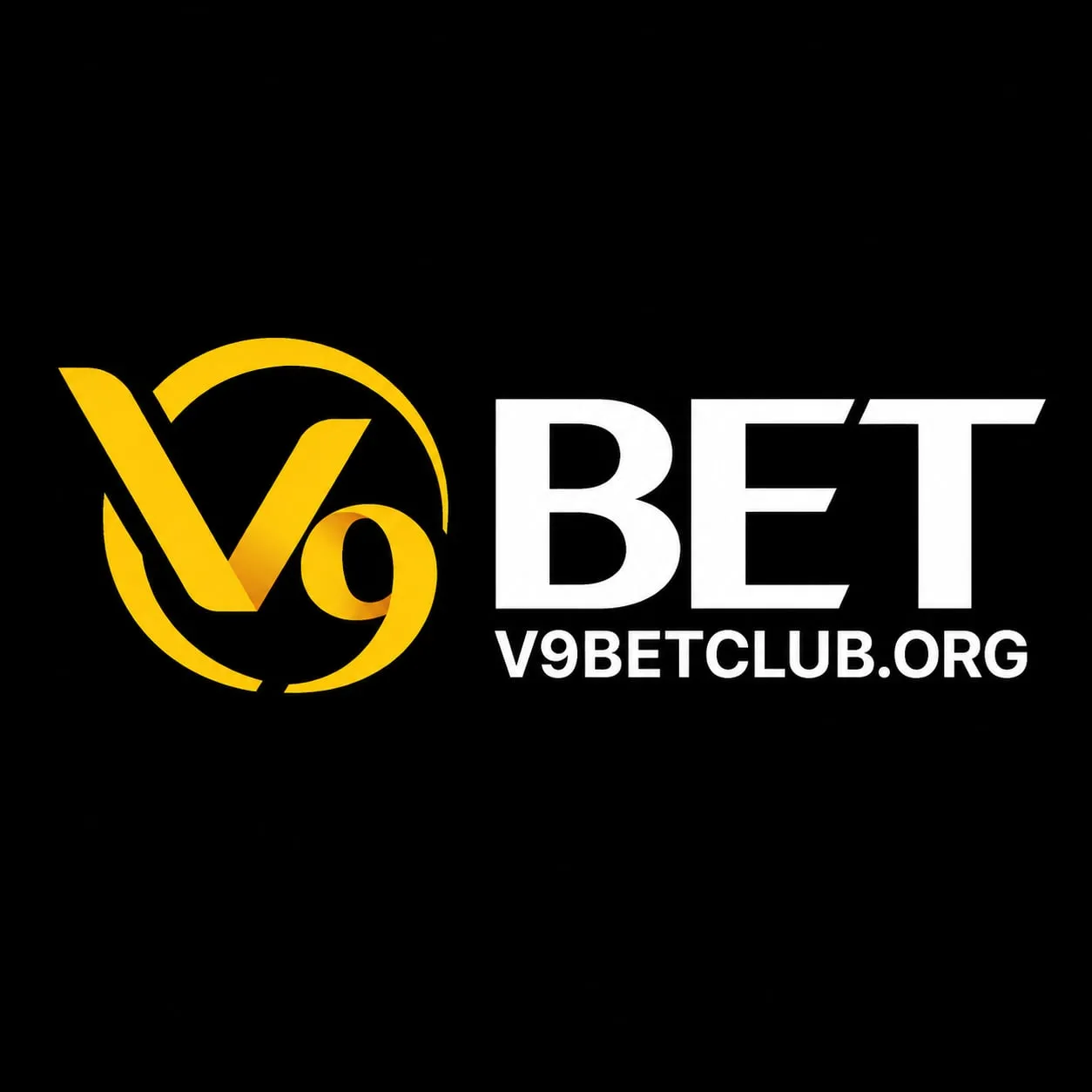 Avatar for v9betcluborg01