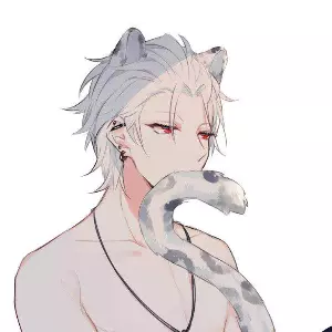 Avatar for a user