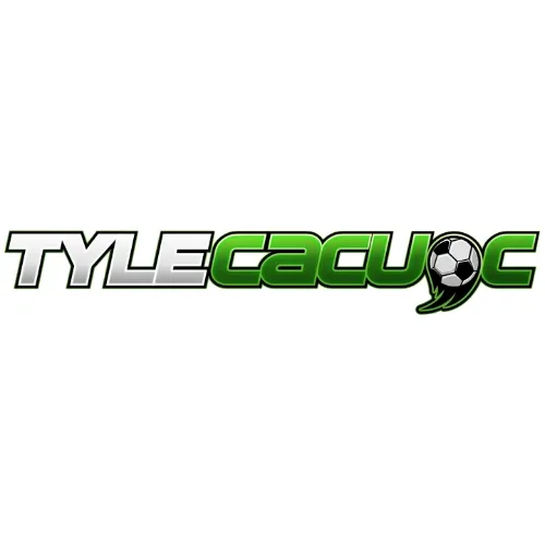 Avatar for a user