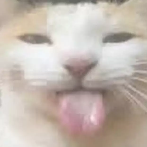Avatar for Derpster
