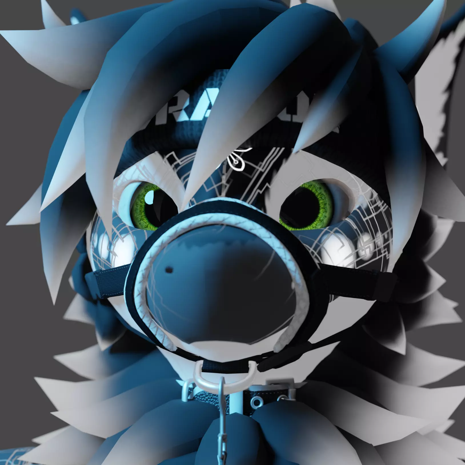 Avatar for DittyDos