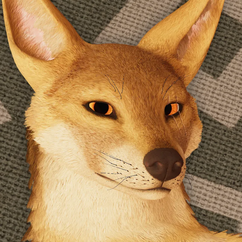 Avatar for Limit1997