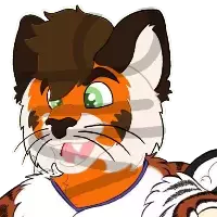 Avatar for a user